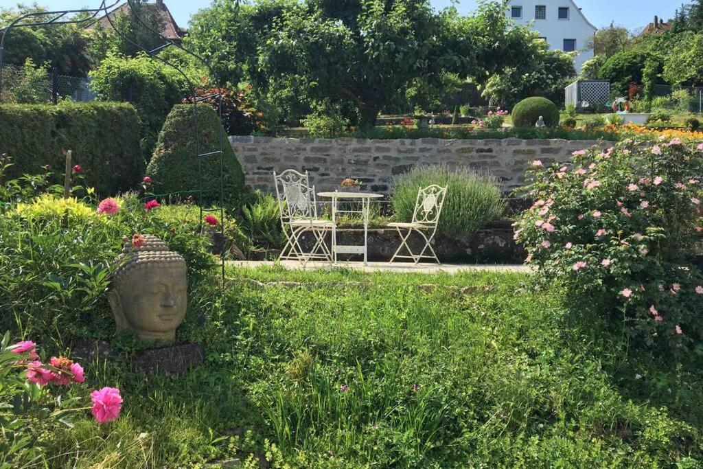 Schoenste Location In Wuerzburg Exterior photo